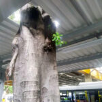 spil terminal sao paulo mobiliario urbano estruturas metalicas abrigo onibus fabrica design terminal obras princesa isabel 9